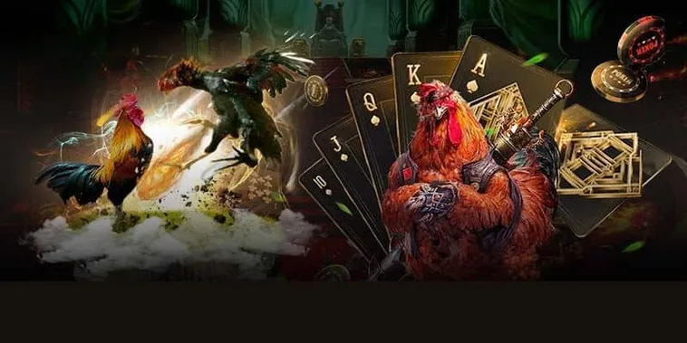 Cách Chơi Đá Gà GA28 Tại Fan52 Thắng Liên Tục Như "Ăn Cơm"